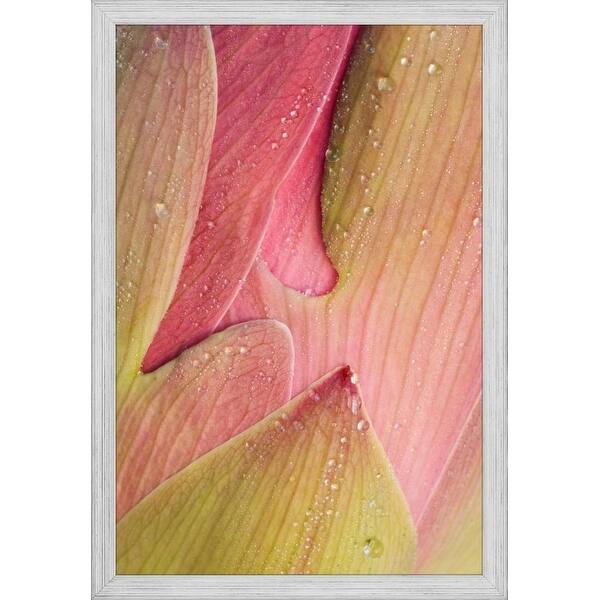 Shop Easy Art Prints Joanne Wells S Abstract Of Lotus Flower