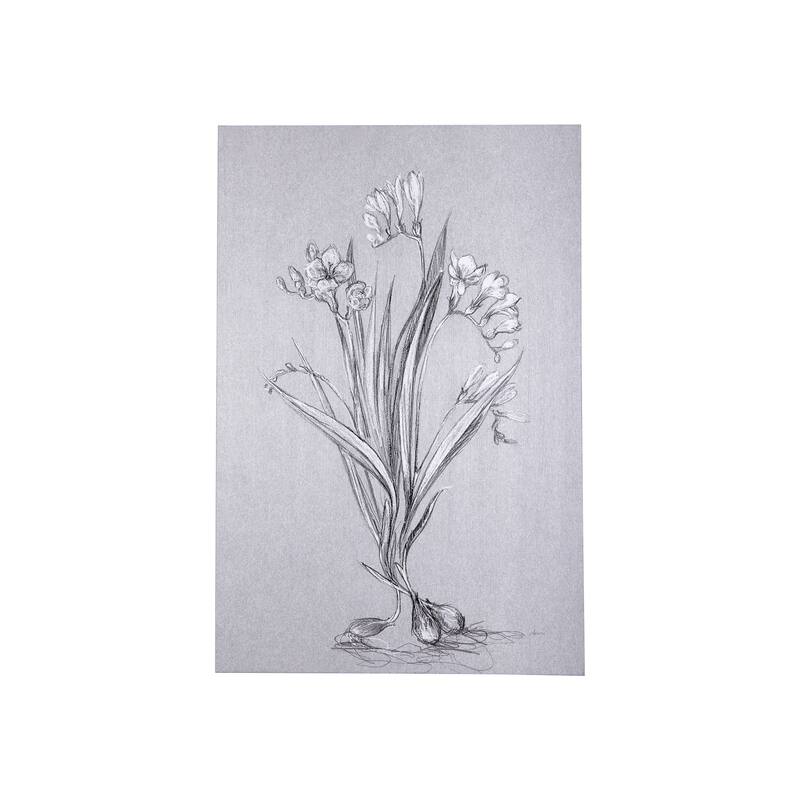 Botanical Sketches III (Grey) (24 x 36) Canvas Art Print - Small