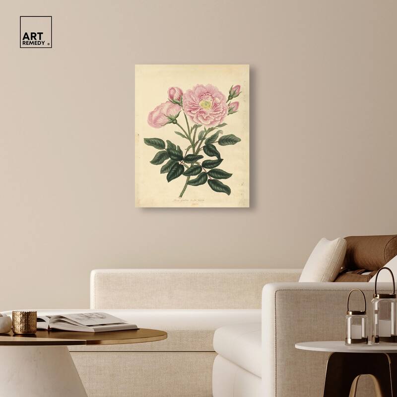French Rose Canvas by Art Remedy, Gallery Wrapped