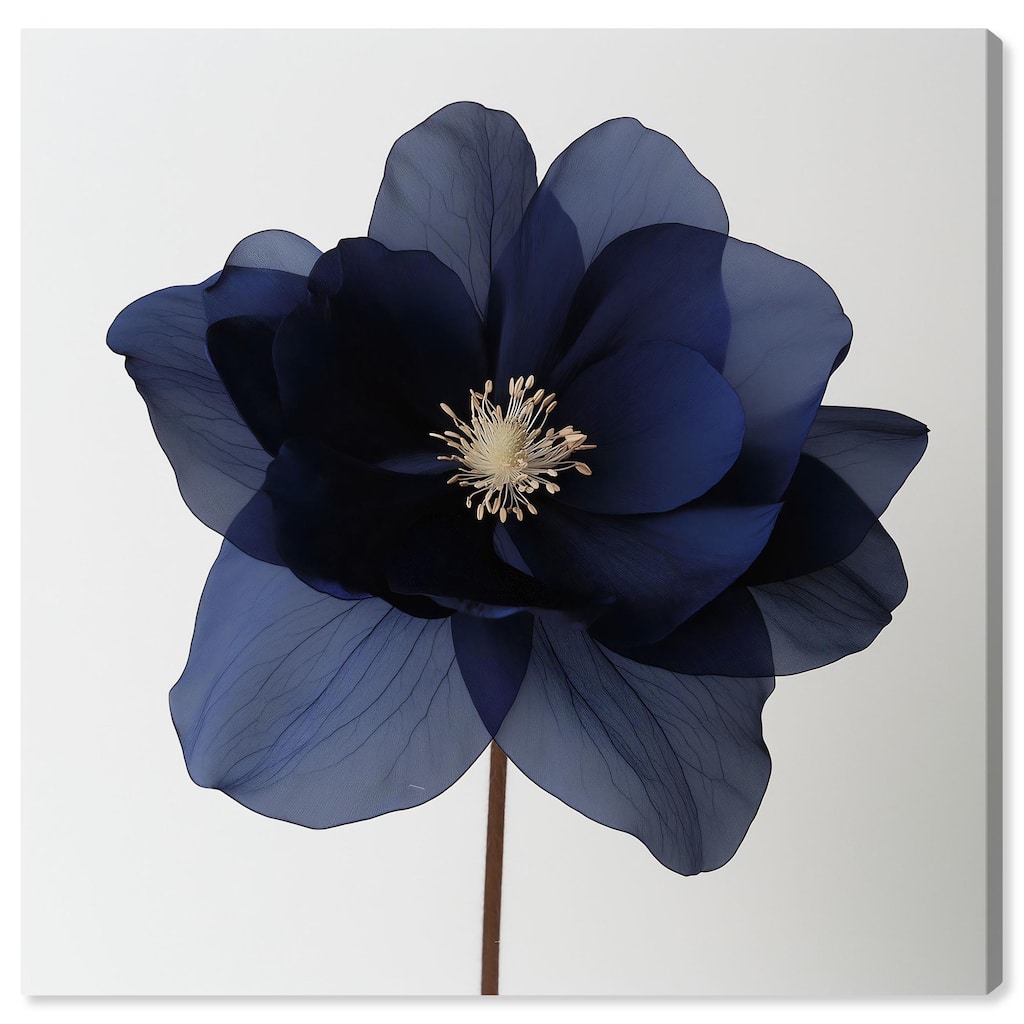 Night Dal I Canvas by Art Remedy, Gallery Wrapped