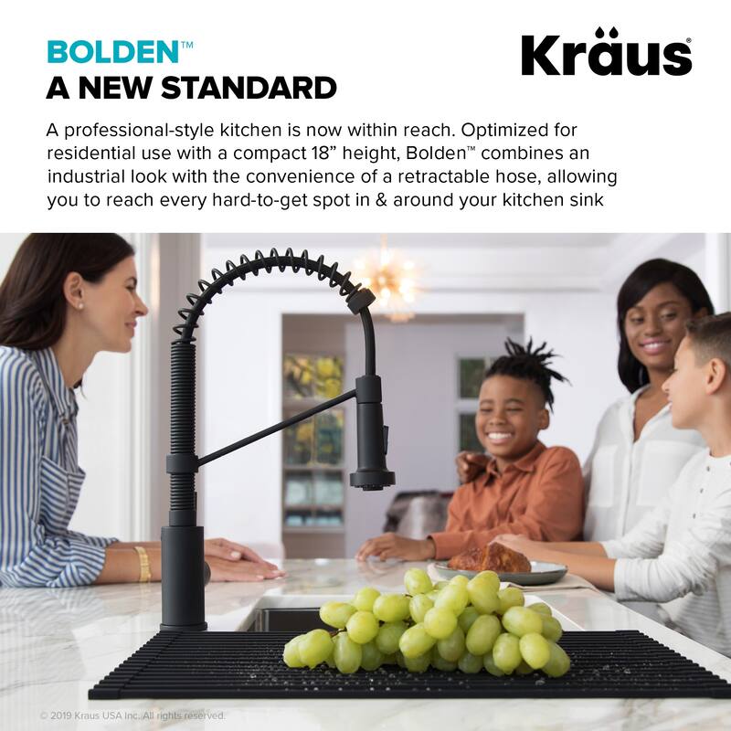 Kraus Bolden 2-Function 1-Handle Commercial Pulldown Kitchen Faucet