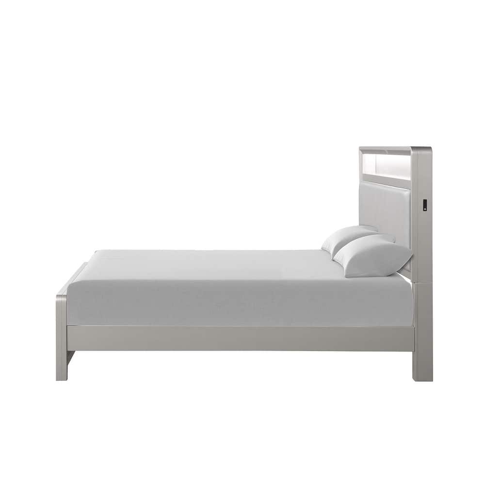 Contemporary Champagne Finish 1PC Bed with USB Ports