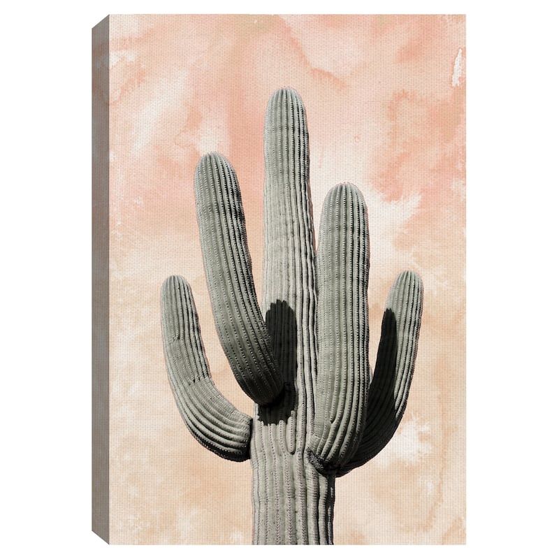 Desert Wash Coral II by Belle Maison Canvas Art Print