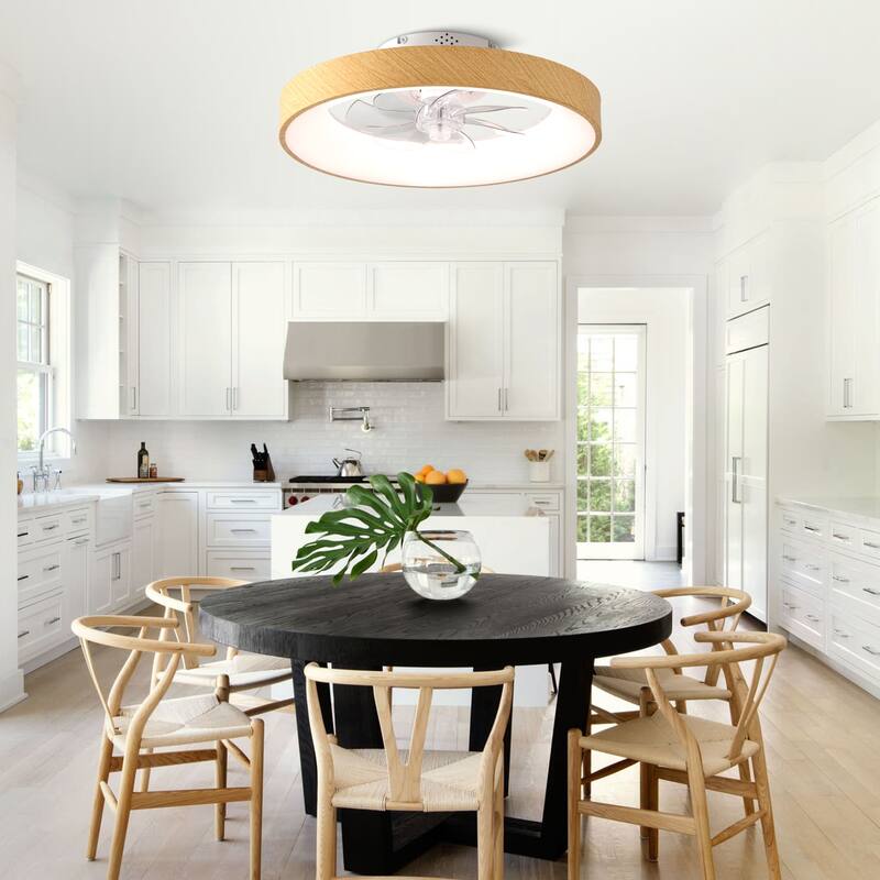 Cusp Barn 20" Modern RGB Ceiling Fans with Light, Low Profile Flush Mount Smart Ceiling Fan with Alexa/Tuya APP/Voice Control