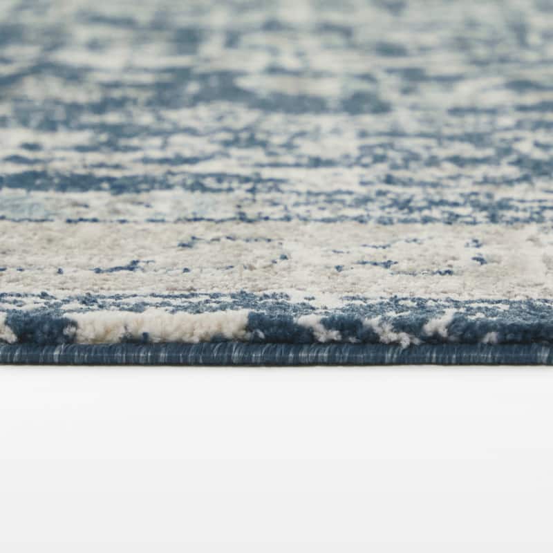 Bastian Distressed Traditional Area Rug
