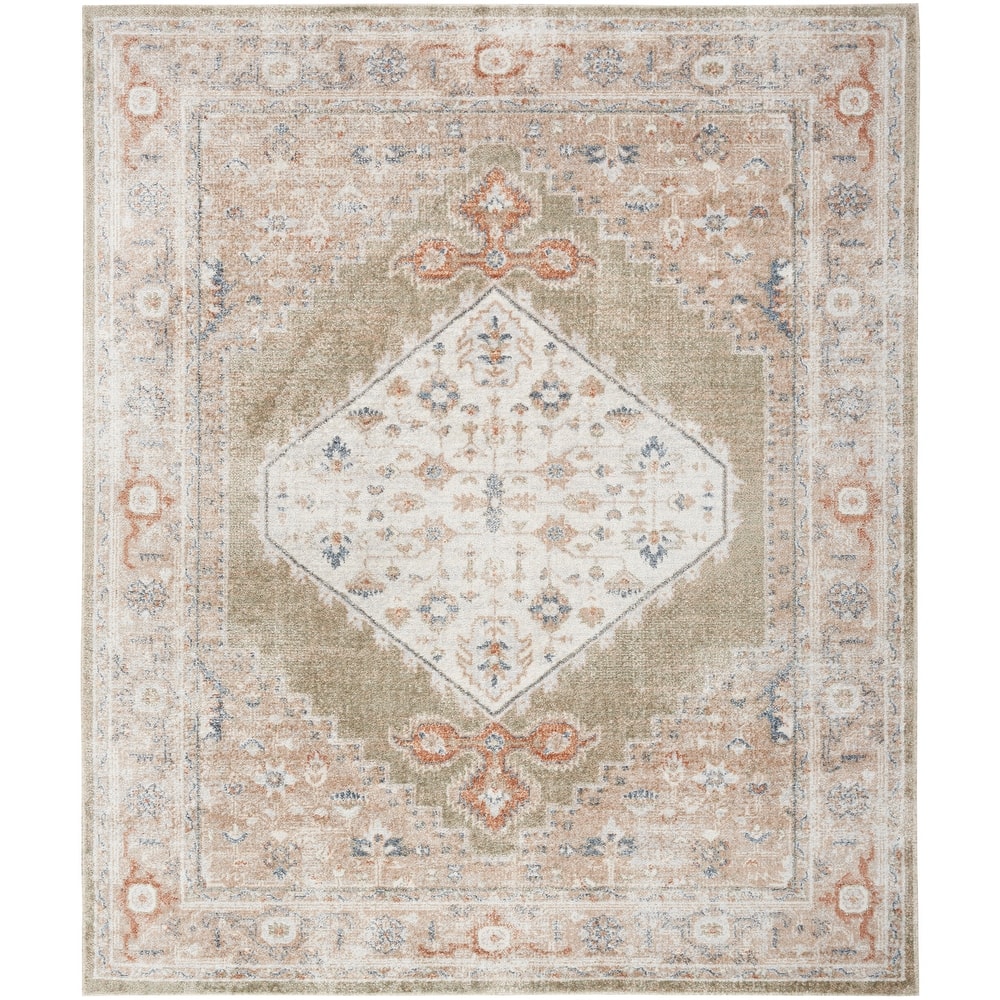 Nourison Astra Machine Washable Distressed Area Rug