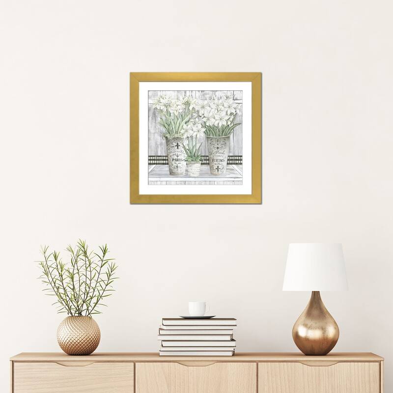 iCanvas "Amaryllis Multi Pots" by Cindy Jacobs