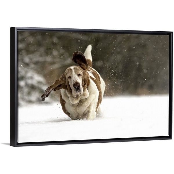 "Almost Airborne" Black Float Frame Canvas Art