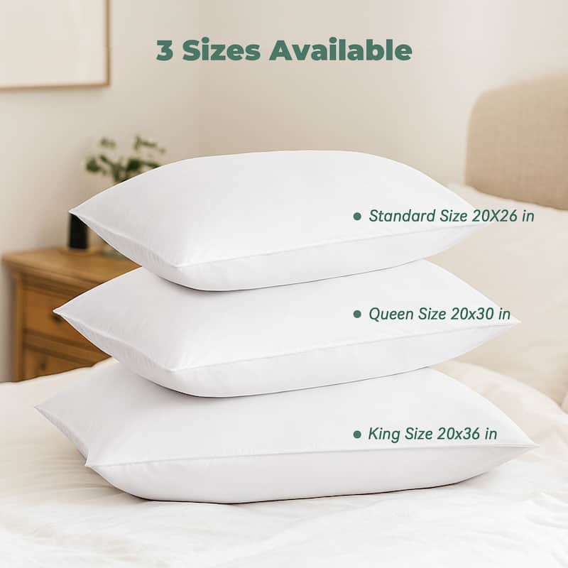 2 Pack Hotel Quality Goose Feather Bed Pillows for Side & Back Sleepers