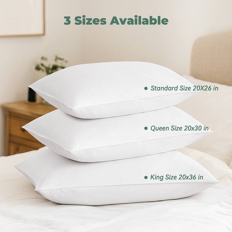 2 Pack Medium Goose Feather Down Bed Pillows with Soft Cotton Cover - White