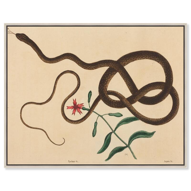 The Coach Whip Snake 1743 Canvas by Art Remedy - 45" x 36" - Silver