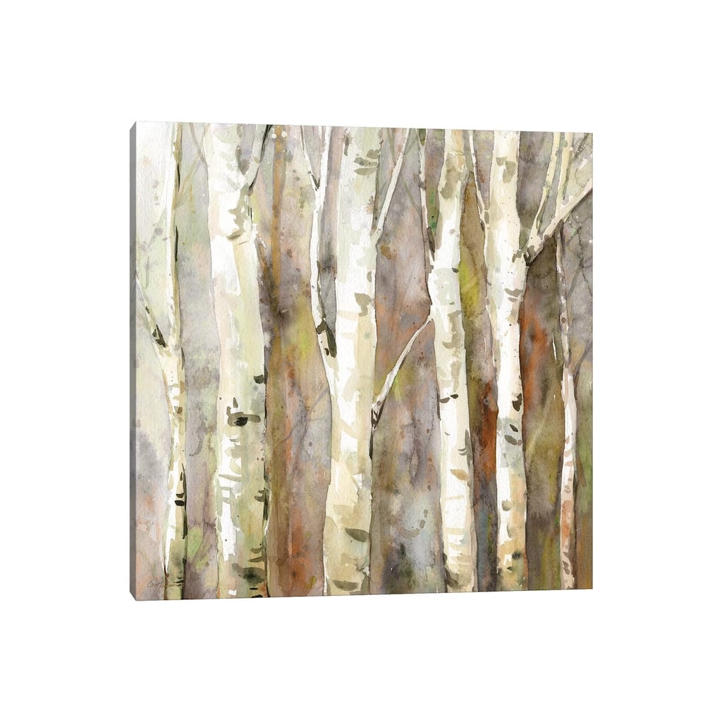 iCanvas "Quiet Morning II" by Carol Robinson Canvas Print