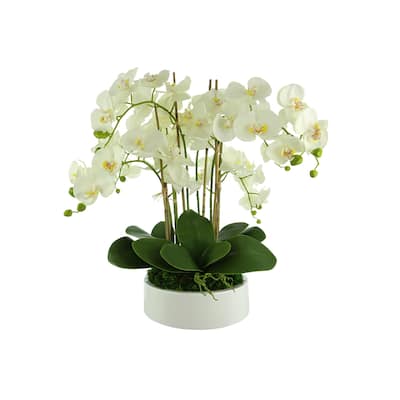 Orchid Arrangement in a Round Planter with Leaves and Moss - White, Green