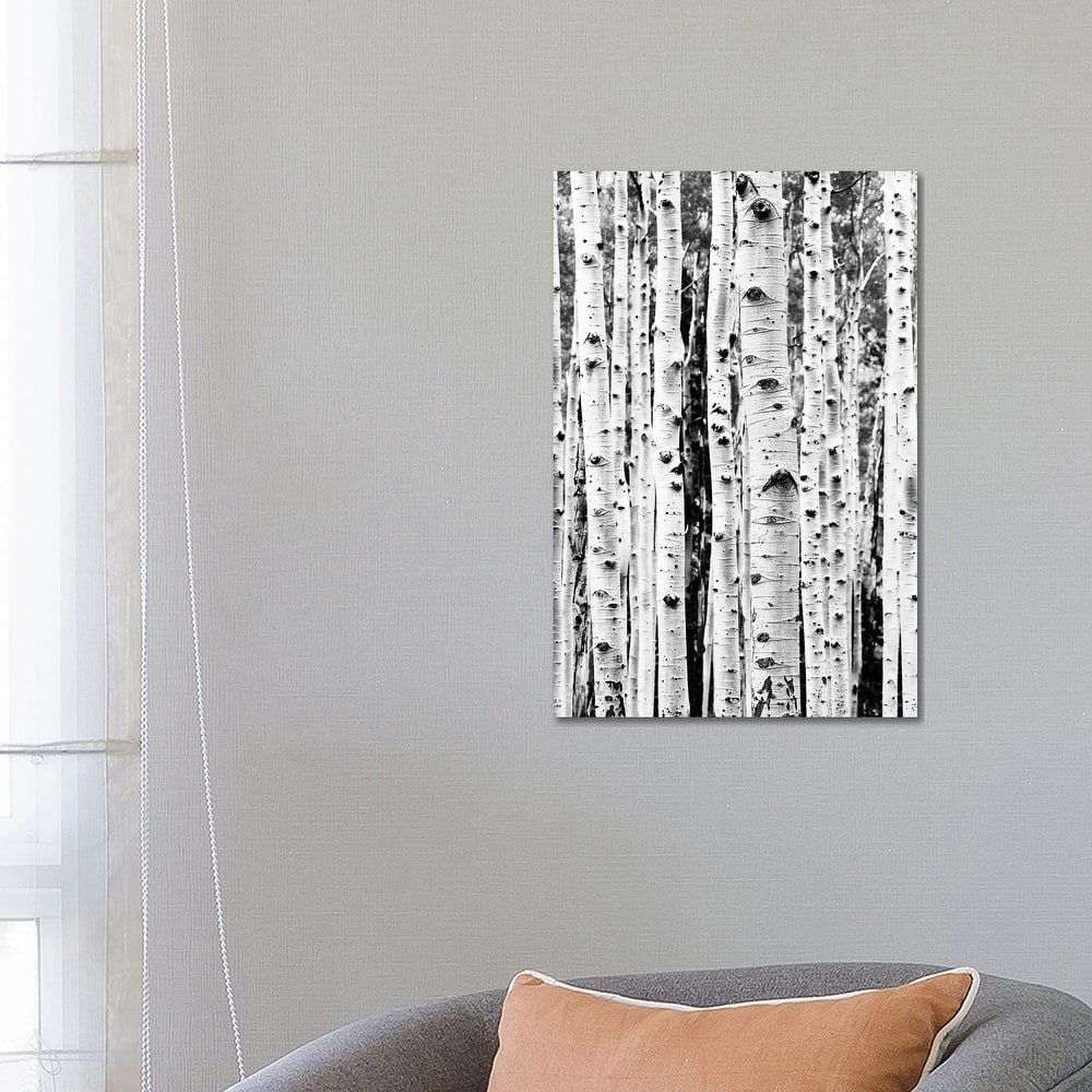 iCanvas "Birch In Black & White" by Sisi & Seb Canvas Print