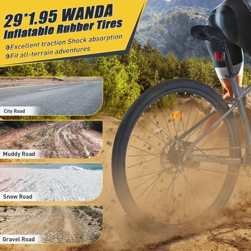 Unisex Mountain Bike - Front Suspension, Steel Frame, Single Speed - 29