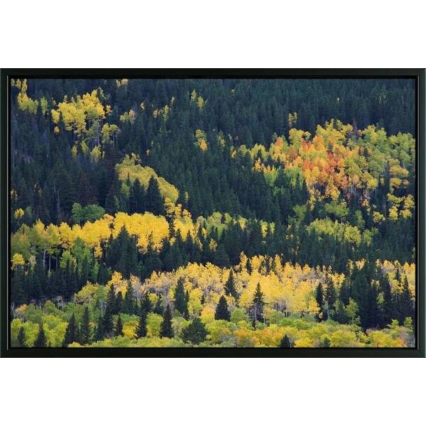 Shop Easy Art Prints Rolf Nussbaumer S Aspen Trees In Fall Colors