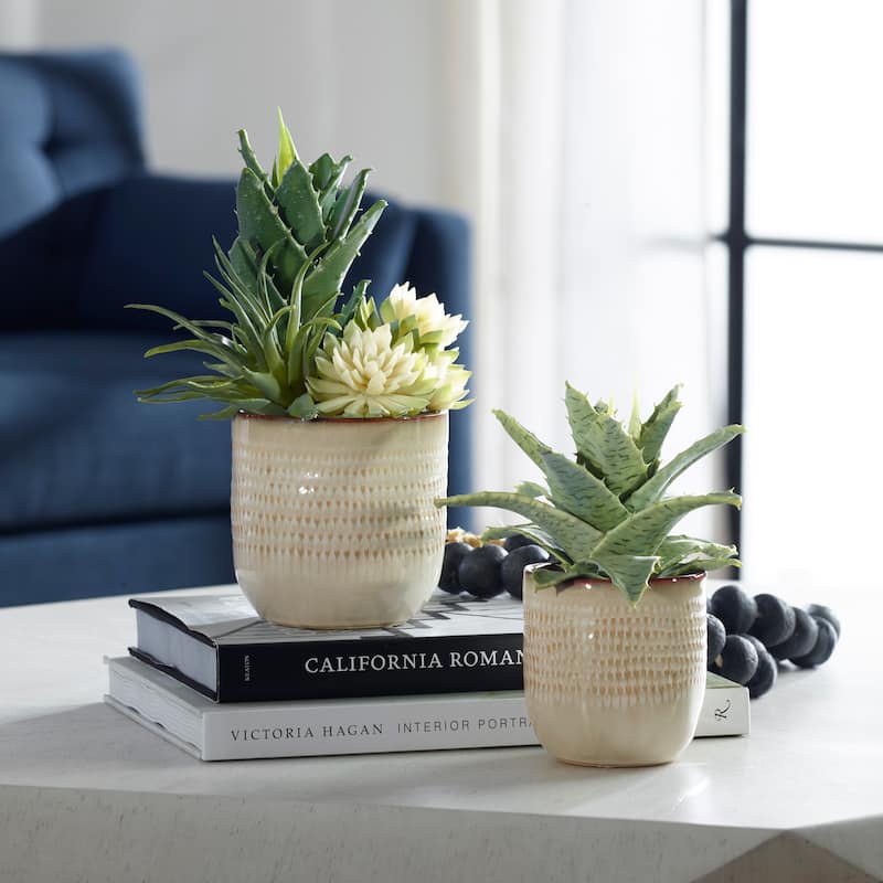 Uttermost Seaside Succulents, Set Of 2 - 9"W x 12"H x 7"D