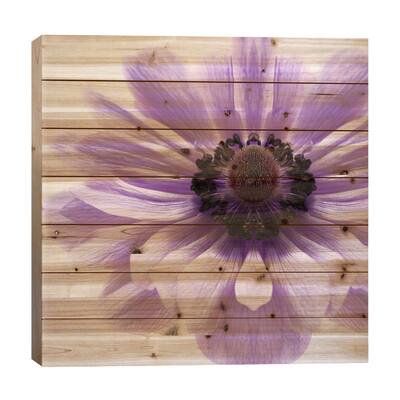 Pale Lilac Anemone Print On Wood by Alyson Fennell - Multi-Color