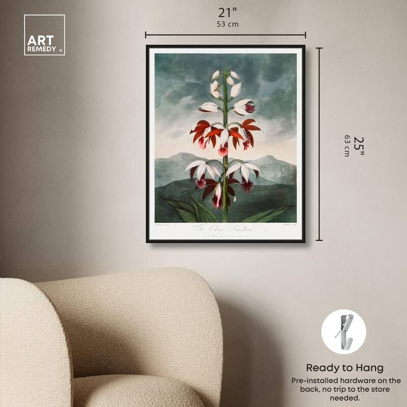 The China Limodoron 1807 Canvas by Art Remedy