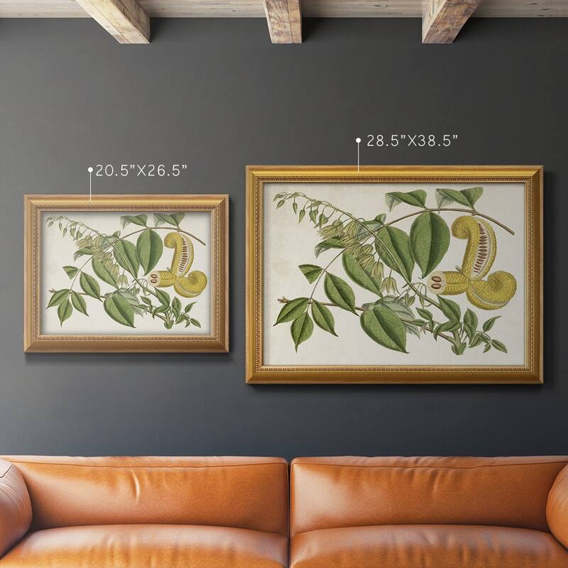 Tropical Foliage & Fruit I Premium Framed Canvas- Ready to Hang
