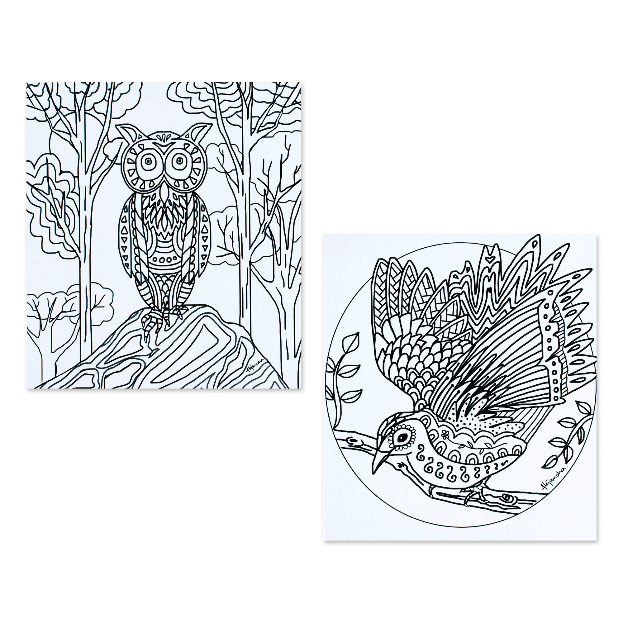 Novica Handmade Bird Enchantment Coloring Postcards (Pair)