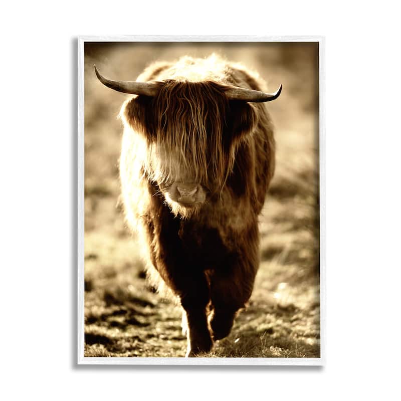 Stupell Sunlit Highland Longhorn Cattle Wandering Rural Countryside Framed Wall Art, Design by James Dobson