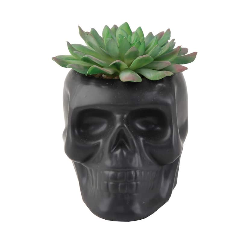 4.5X3.5 Ceramic Sugar Skull Succ, Matt Black