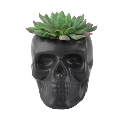4.5X3.5 Ceramic Sugar Skull Succ, Matt Black