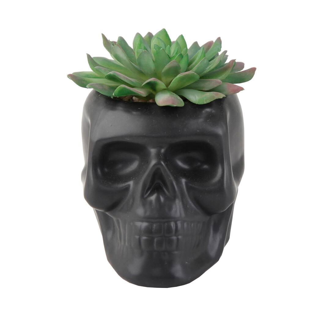 4.5X3.5 Ceramic Sugar Skull Succ, Matt Black