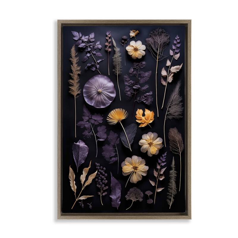 Stupell Flower Specimens on Black Framed Floater Canvas Wall Art Design By Heidi Kuntz - 17 x 25 - Brown