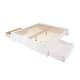 Option White-2 Drawer
