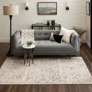 Mohawk Home Nottley Distressed Ornamental Area Rug