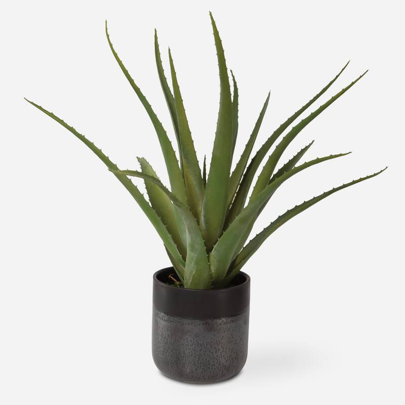 Glazed Ceramic Aloe Vera Planter - 19" - Gray