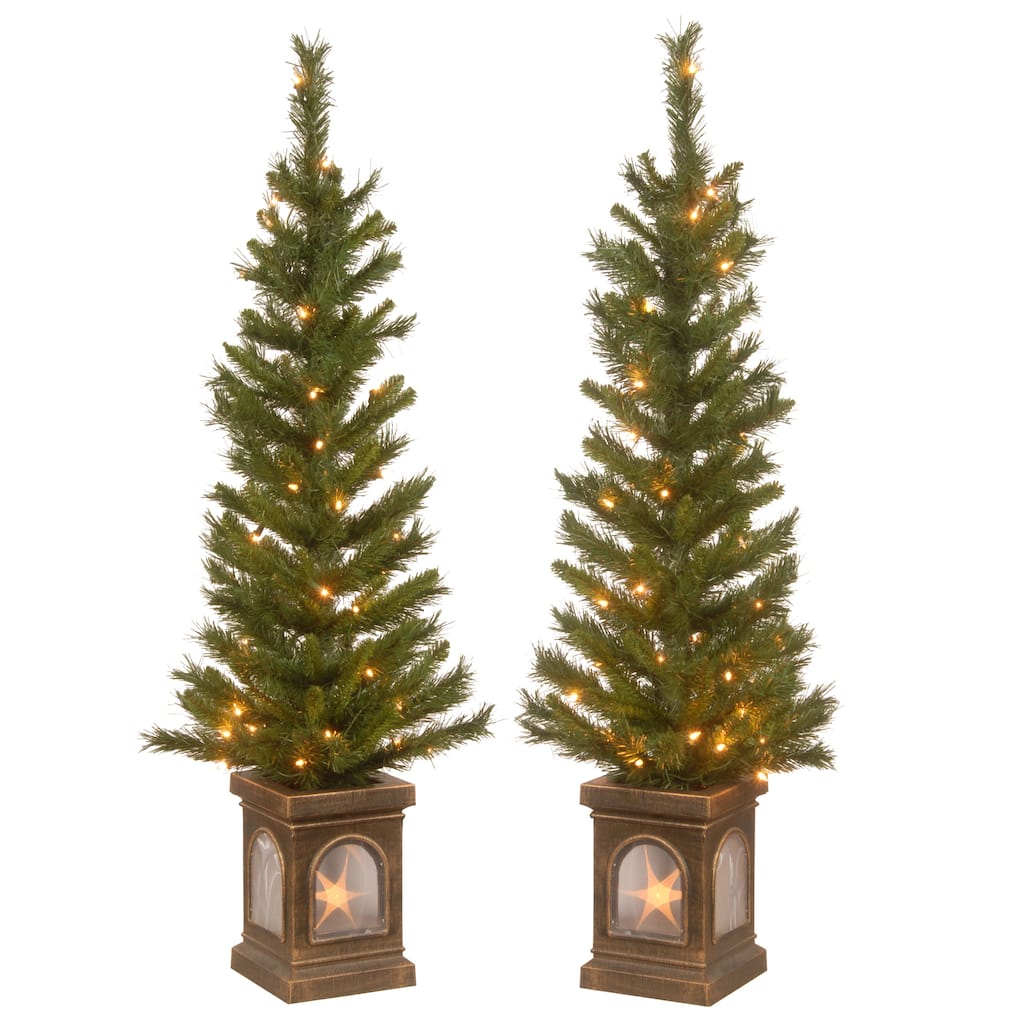 National Tree Company 4 ft. Lehigh Valley Clear Light Pine Entrance Trees (Set of 2)