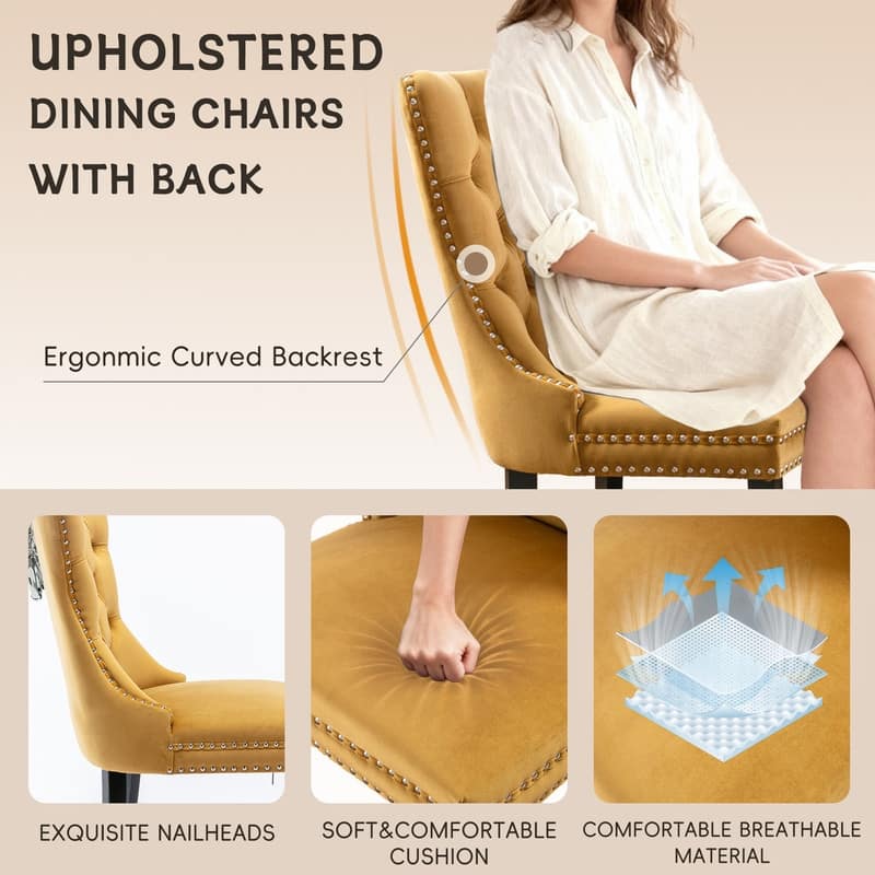 Modern Tufted Velvet Upholstered Nailhead Dining Chair Set of 6