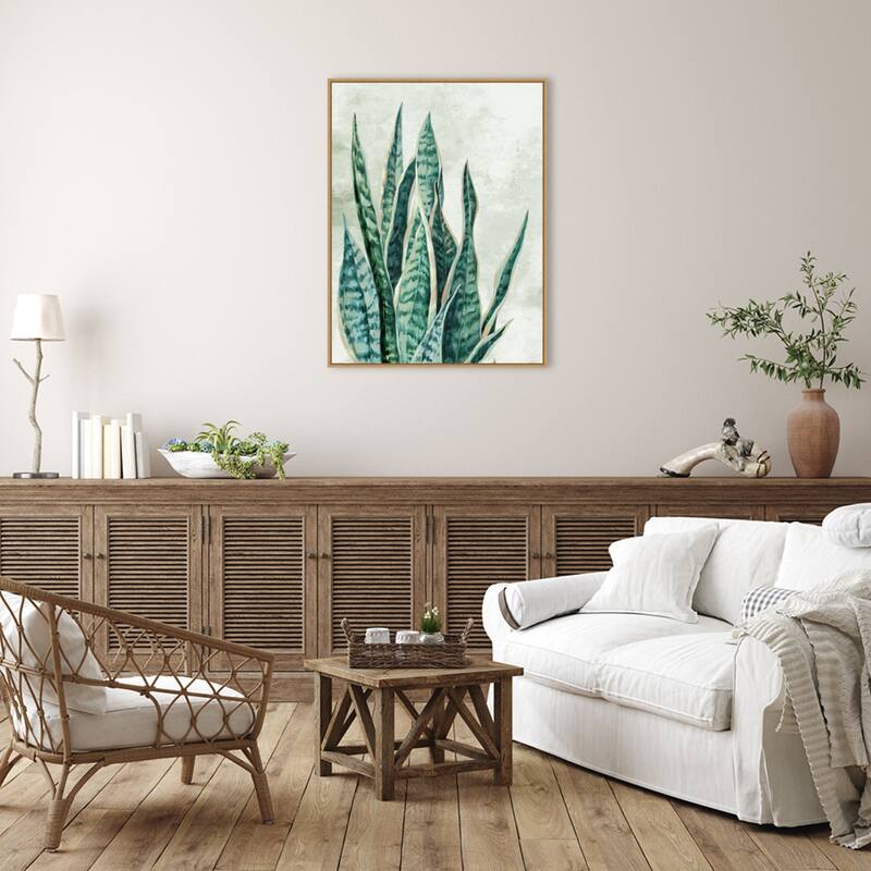 Amanti Art Reaching Snake Plant by PI Studio Framed Canvas Wall Art Print - Sylvie Maple