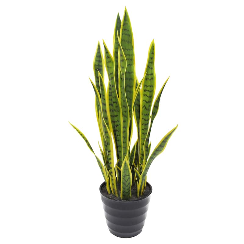 32in Green Yellow Artificial Sansevieria Snake Plant in Black Pot 32" H x 10" W x 10" DP On