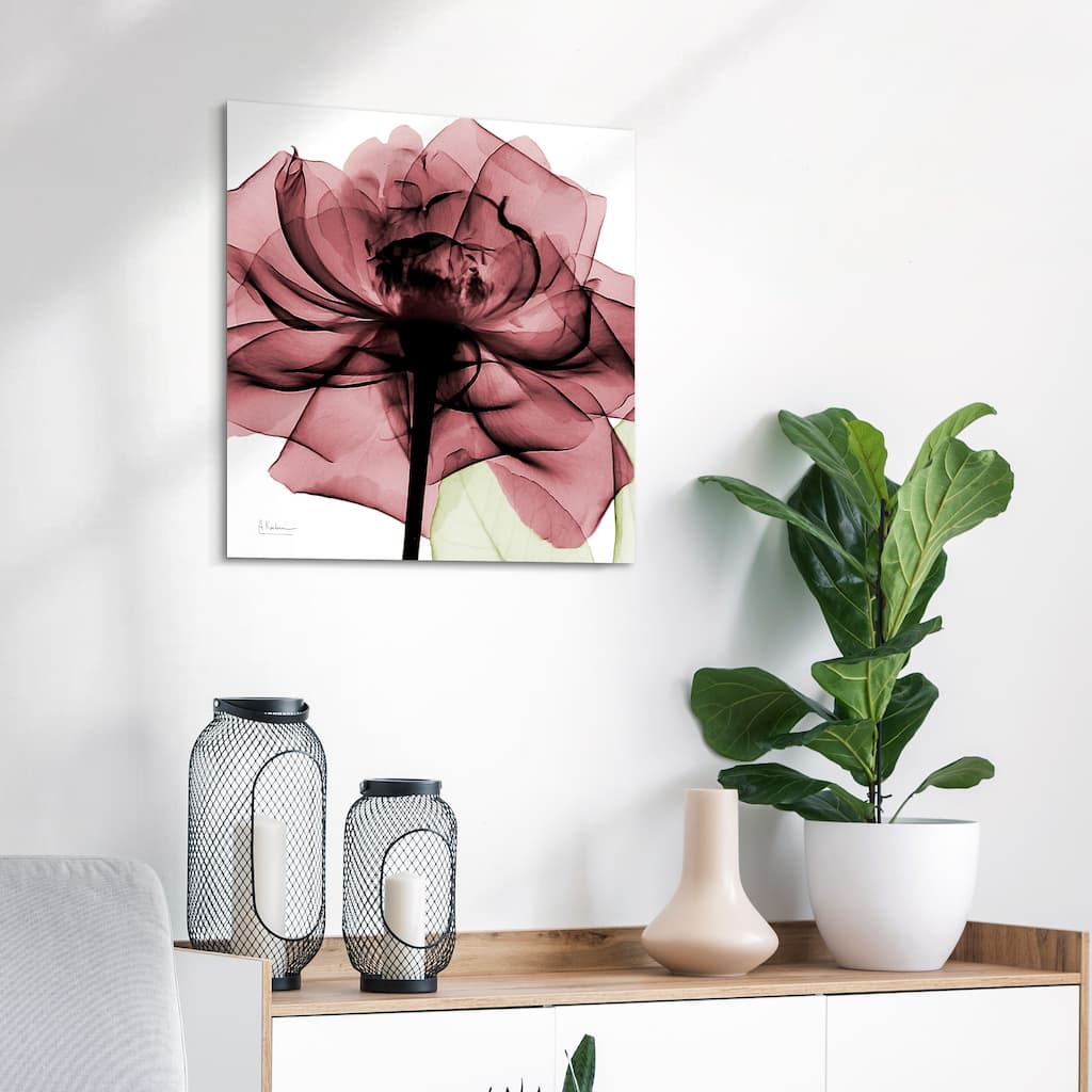 "Chianti Rose II" Rose Flower Wall Art on Frameless Free Floating Tempered Glass Panel - Pink