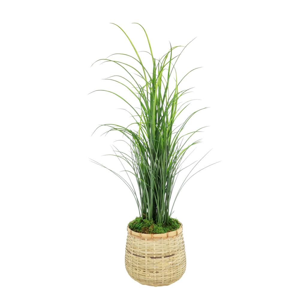 Grass in Bamboo Planter - 38