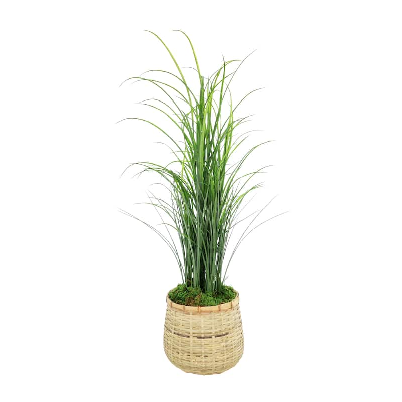 Grass in Bamboo Planter - 38
