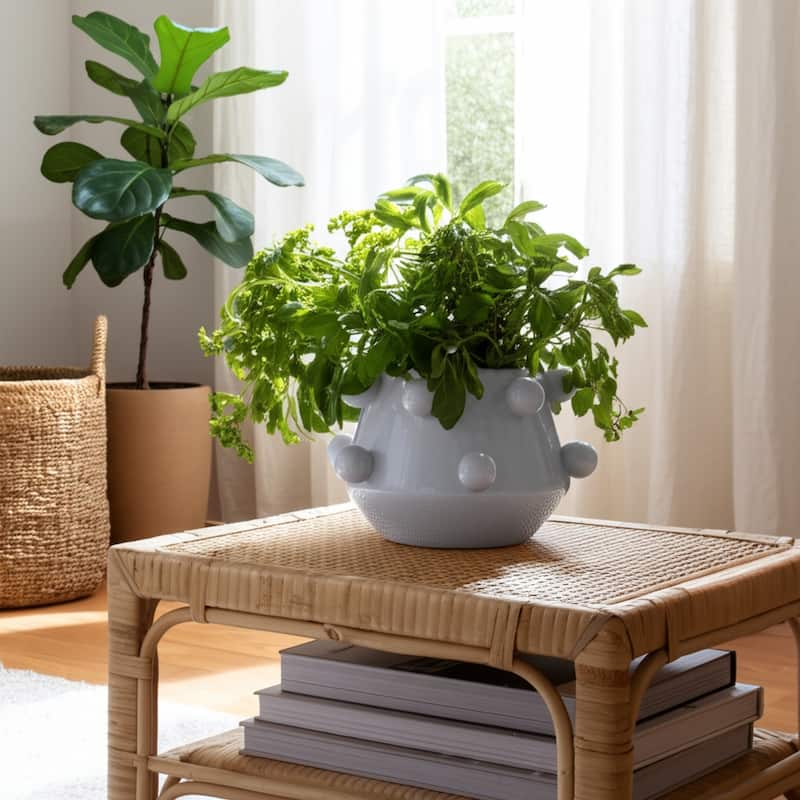 Modern Ceramic Stoneware Planter Tapered Bubble Sculpted Orb Accents
