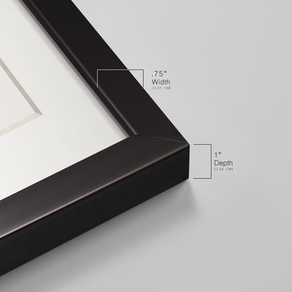 Feather Fancy III-Premium Gallery Framed Print - Bed Bath & Beyond ...