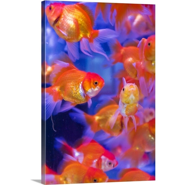 Orange Blue Bubble Giclee Canvas Abstract Colour Picture Wall Art