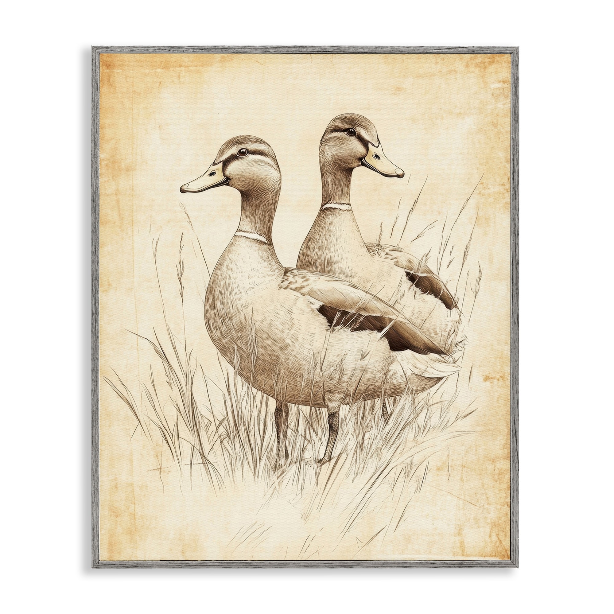 Stupell Vintage Pair of Ducks Framed Giclee Art Design By Petal Prints Design