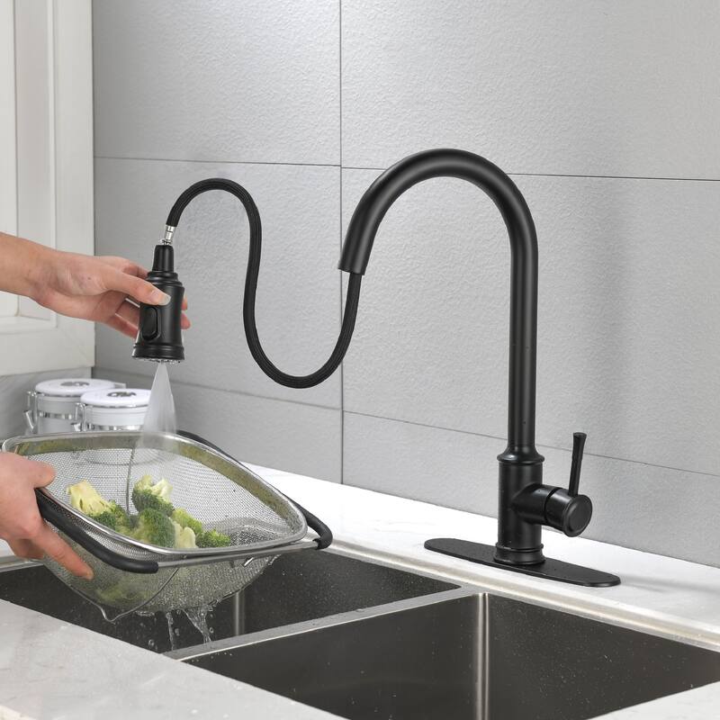 High Arc Stainless Steel Kitchen Faucet with Pull Down Sprayer