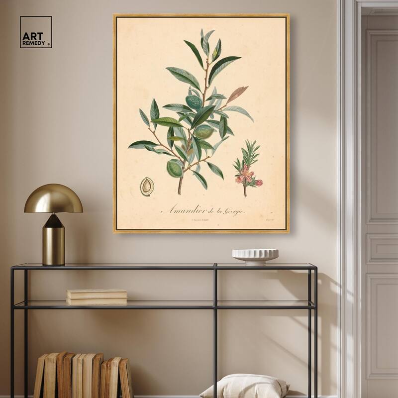 Almond of Georgia I Canvas by Art Remedy