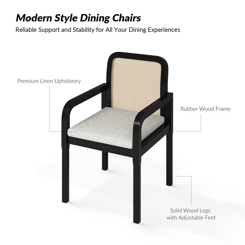 Antoine Modern Ratten Back Dining Chair with Removable Cushion Set of 2 by HULALA HOME