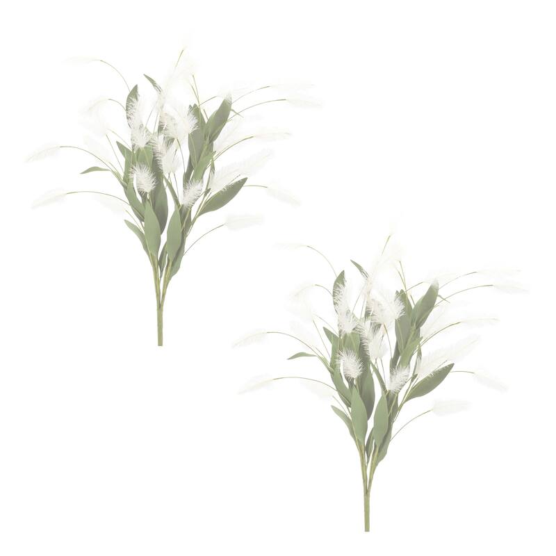 White Plume Bush (Set of 2)