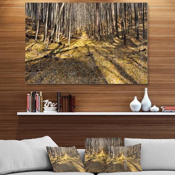 Majestic Autumn Forest Panorama - Landscape Glossy Metal Wall Art - Bed ...