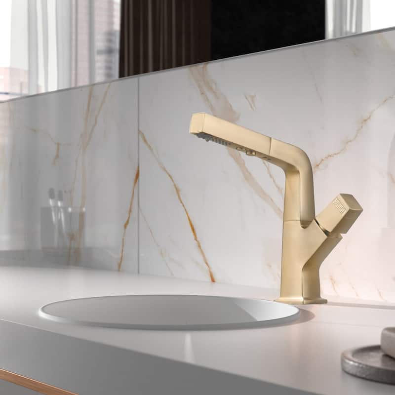 Solid Brass Pull Out 360° Swivel Single Hole Bathroom Faucet